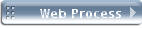 Web Process